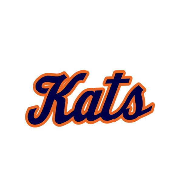 ybc-35 サムネイル